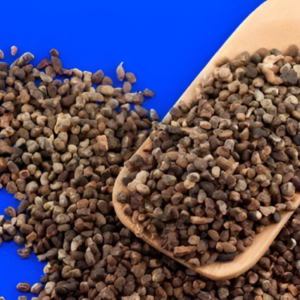 Elaarisi new Elaarisi