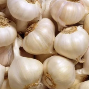 Mountain garlic Mountain Garlic
