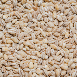 barley Barley
