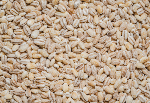 Barley