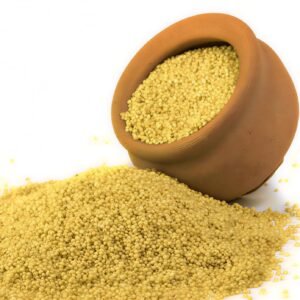 Foxtail millet Thinai Foxtail Millet / Thinai