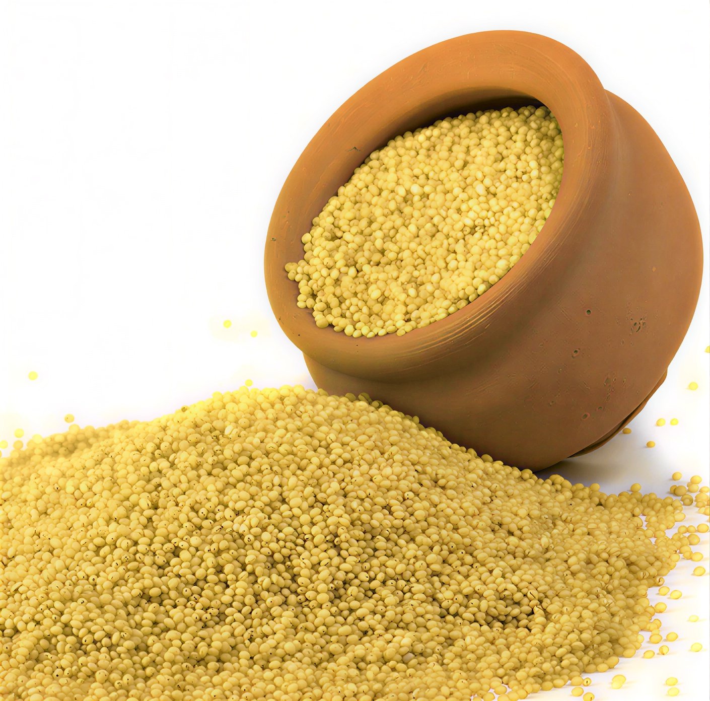 Foxtail Millet / Thinai