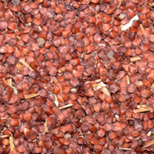 Neermulli Vidhai Neermulli Vidhai