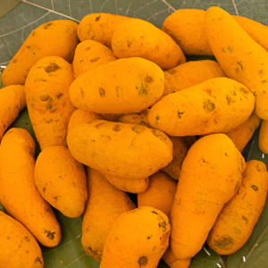 Pusu manjal new Pusumanjal