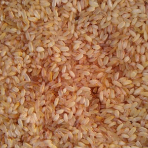 Seeraga Samba Pulungal Seeraga Samba Pulungal