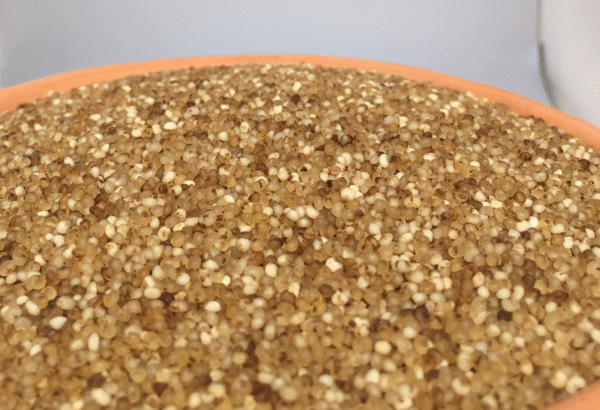 Barnyard Millet Par Boiled