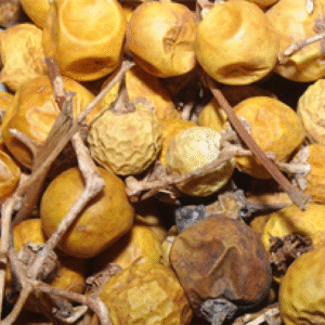 kandankathiri Kandankathiri