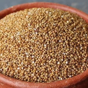 kodo millet par boiled Kodo Millet Par Boiled