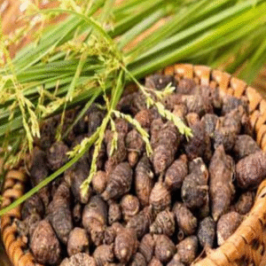 koraikizhangu Koraikizhangu