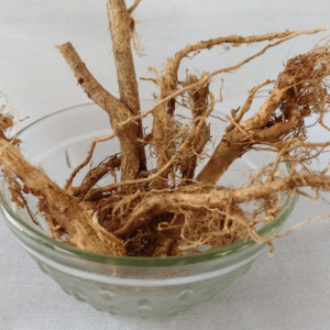 kurunthotti veer Kurunthotti Veer