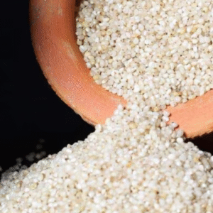 little millet raw Little Millet Raw