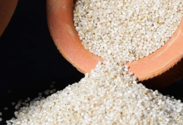 Little Millet Raw