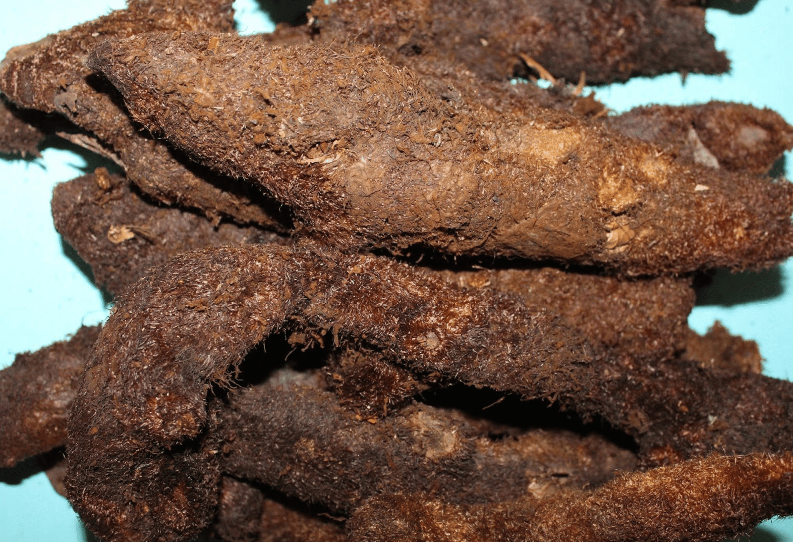 mudavattukkal kizhangu