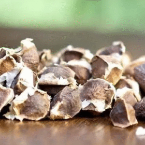 murungai vidhai Murungai Vidhai