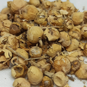 paneer poo Paneer Poo