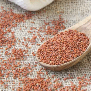 saaliya vidhai Saaliya Vidhai