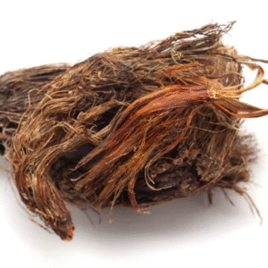 sadaamanjil Sadaamanjil