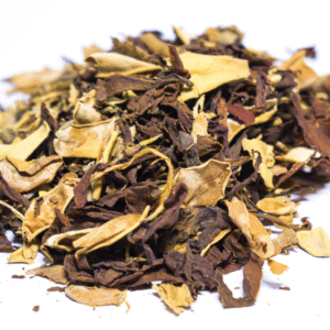 senbaga poo Senbaga Poo