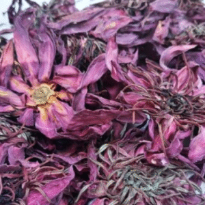 thamarai ethal Thamarai Ethal