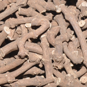 thesaavaram Thesaavaram