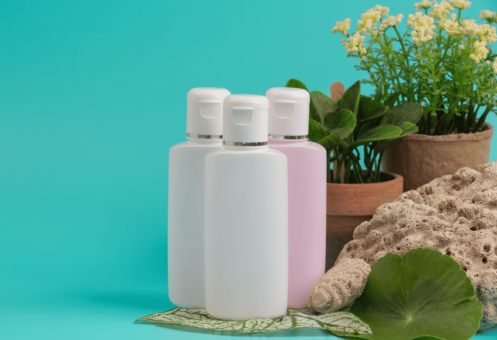 Protein Shikakai Shampoo