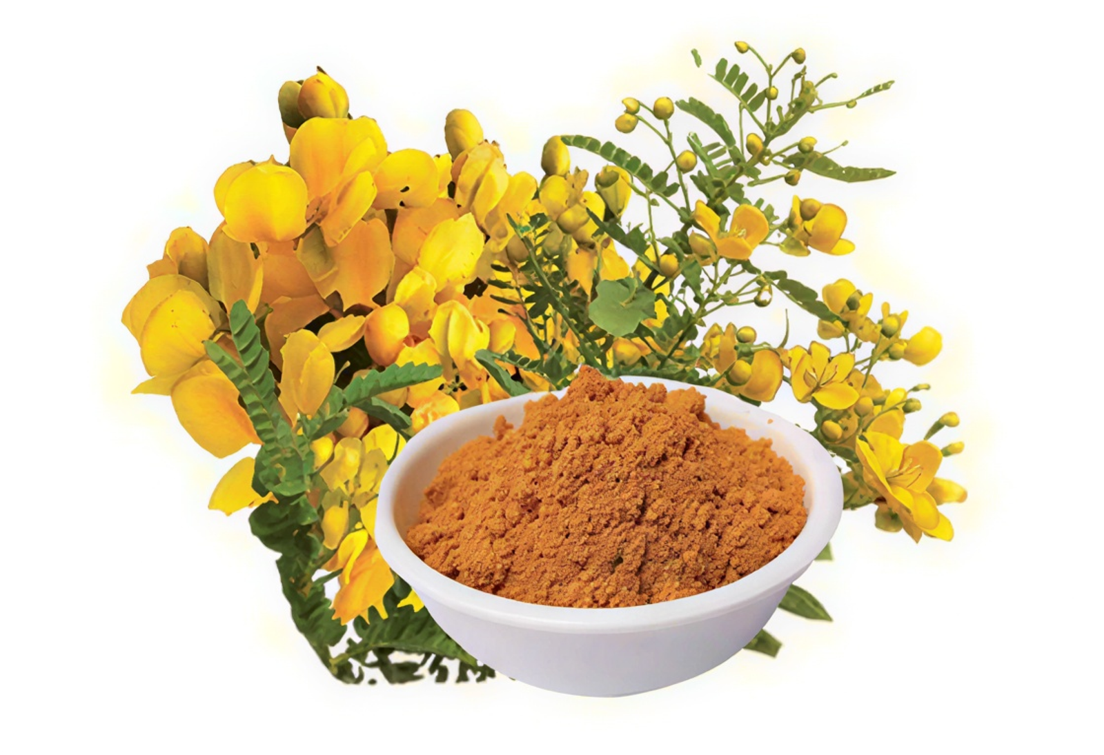 Avarampoo Sambar Podi